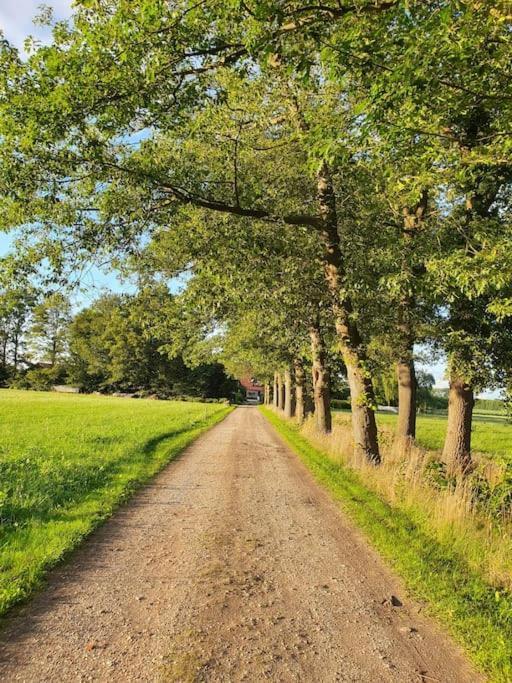 Leuk Boerderijtje Op Prachtige Plek, Nabij Natuurgebied Ruurlo Ngoại thất bức ảnh