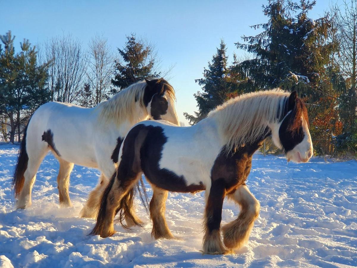 Leuk Boerderijtje Op Prachtige Plek, Nabij Natuurgebied Ruurlo Ngoại thất bức ảnh