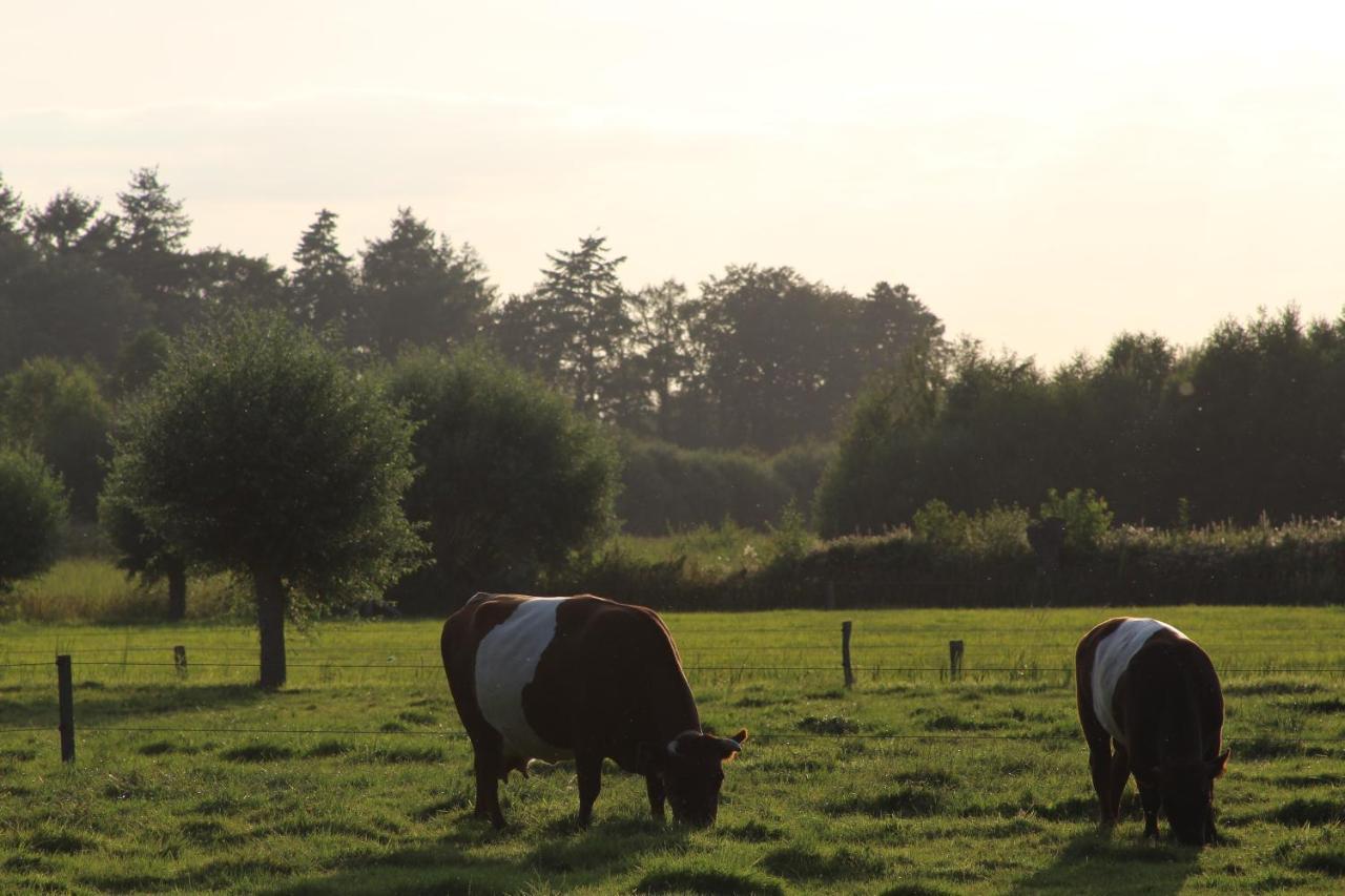Leuk Boerderijtje Op Prachtige Plek, Nabij Natuurgebied Ruurlo Ngoại thất bức ảnh